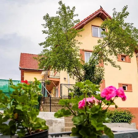 Gabi'S Home #1 Sighisoara Exterior photo