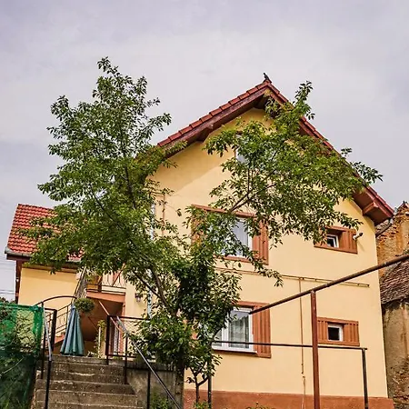 Gabi'S Home #1 Sighisoara Exterior photo