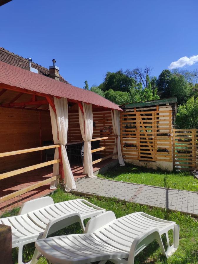 Gabi's #1 Apartment Sighisoara